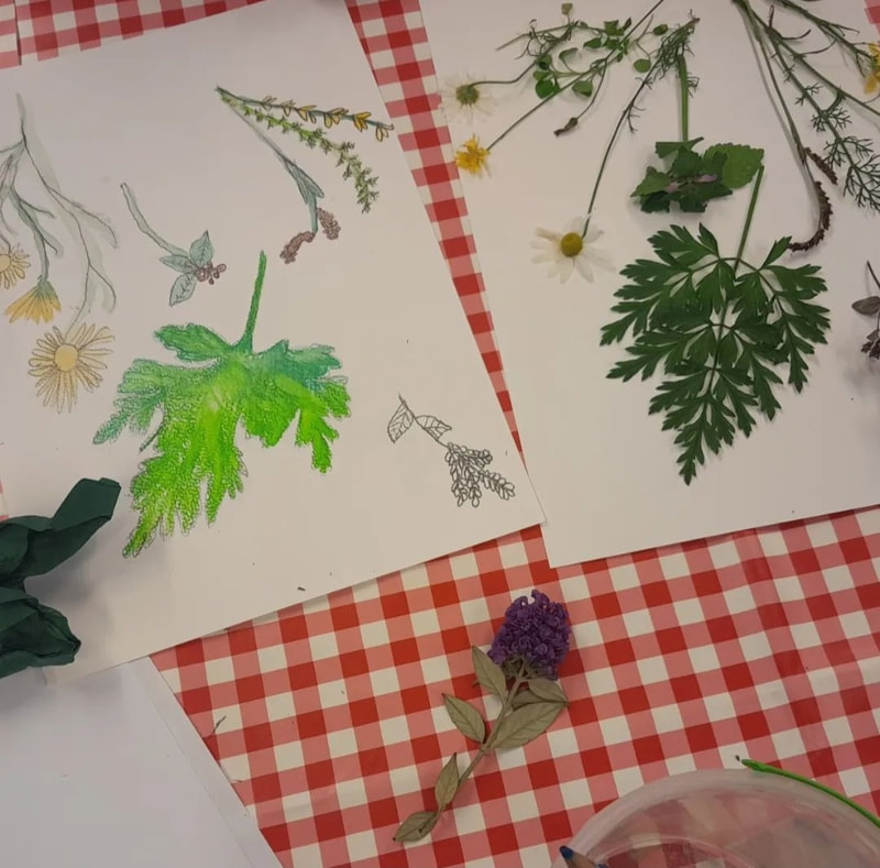 Workshop Vergeten Planten Kunst, kids versie 2022